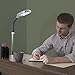 Lavish Home Floor Lamp - Full Spectrum Natural Sunlight Lamp with Bendable Neck - Reading, Craft, Studying, and Esthetician Light (Chrome)