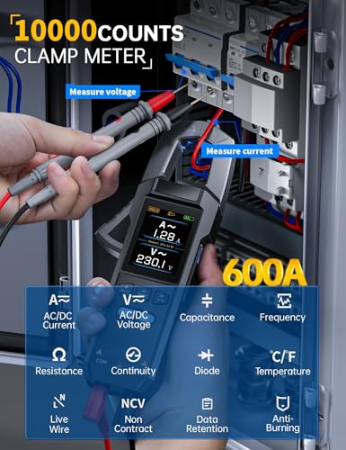 LBOYLOVE® DMC-100 Digital Clamp Meter Multimeter, 9999 Counts TRMS, 600A Curve Recording Rechargeable Amp Meter with AC/DC Voltage Current, Continuity, Capacitance, Diode Resistance Test, Temperature