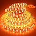 LEDENET 16.4FT Double Row RGB+Warm White 5050 LED Strip Lights 24V 600LEDs Waterproof in Silicone sleeving IP67