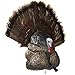 Flextone Hunting Lightweight Ultra Realistic Lifelike Plastic Outdoor Thunder Creeper Gobbler Turkey Decoy