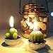Cactus Candles, Mini Cute Tealight Candles for Christmas, Home, Decor, Birthday, Party, Wedding 6 Pcs (Gift Wrap)