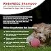 KetoWELL Topical Shampoo for Dogs, Cats and Horses - 16 Oz