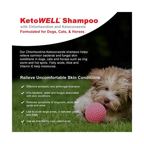 ketowell shampoo