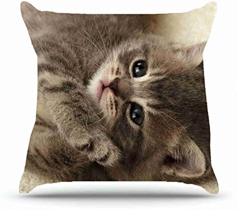Square 18 X 18 Inches Cotton Pillowcases Decorative Pillow Cover Case with Hidden Zipper Decor Cushion Covers - Animals kitten blanket s lie down baby fluffy for outdoor