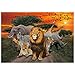 Allenjoy 7x5ft Jungle Backdrop for African Desert Animal Forest Summer Sunset Scenic 1st First Birthday Party Photography Event Table Decoration Banner Background Children Photo Booth Shoot