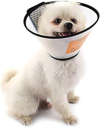 dog head cone