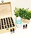 Essential Oils Wooden Box - Quality Storage Case For Aromatherapy (Holds 36)