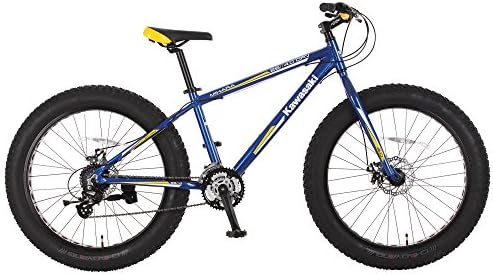 kawasaki mihara fat tire bike