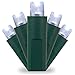Kringle Traditions Cool White LED Christmas Mini String Light Set, 50 Lights, 17 ft Indoor/Outdoor LED White Lights Outdoor Tree Lights Christmas String Wedding Party Decorations, 4 Spacing