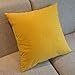 Yellow Solid Color Flocking Velvet 100% Polyester Throw Pillow Covers Pillowcase Sham Decor Cushion Slipcovers Square 19x19 Inch
