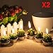AMASKY Cactus Tealight Candles, Handmade Delicate Succulent Cactus Candles for Valentine's Day Birthday Party Wedding Spa Home Decoration (12 Packs)