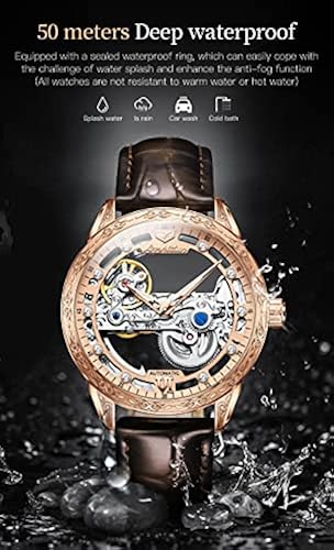 Skeleton Watches for Men Automatic Rose Gold Flywheel Steampunk