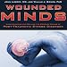 Wounded Minds: Understanding and Solving the Growing Menace of Post-Traumatic Stress Disorder by 