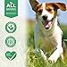Dog UTI Treatment, Bladder & Kidney Support, Natural Incontinence and Bladder Control for Dogs Reduces Urinary Tract Infections, Flush Out Stones & Improves Dog Kidney Health, 400 Tiny Pills