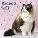Ragdoll Cats 2020 12 x 12 Inch Monthly Square Wall Calendar, Animals Cats by 
