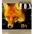 Red fox: The Catlike Canine (Smithsonian Nature Book): J David Henry