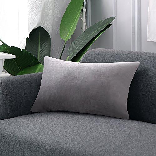 Loom &amp; Mill 2-Pack Throw Pillow Covers, Luxury Velvet Pillow Cases Comfortable Soft Pillow Shams Couch Cushion Cover with Zipper Hidden - (12 x 20 Inch, Grey)