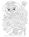 Groovy Owls Coloring Book (Coloring is Fun) (Design Originals) 32 Adorable Art Activities with Quiet, Stoic, Wise, and Happy Owls, plus Beginner-Friendly Advice, Techniques, Color Choices, & Examples