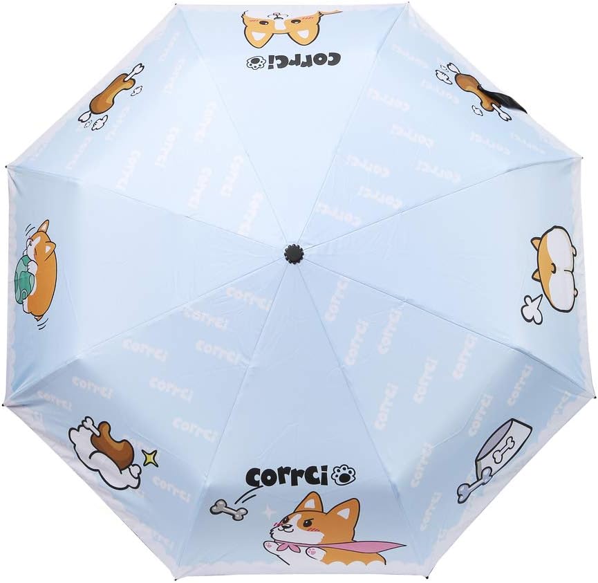 funny weenie dog pictures