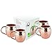 Set of 4 Moscow Mule Mug - 100% Pure Solid Copper Mugs, 16 oz Unlined, No Nickel Interior, Handcrafted Hammered Copper Cups, Free Recipe E Book
