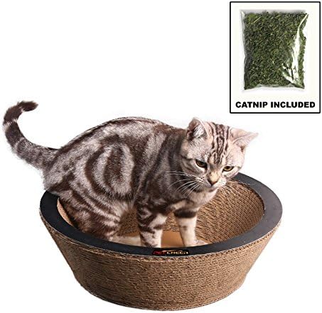 Paw Essentials Bowl-shaped Cardboard Cat Scratching for Scratching and Resting with Catnip (14.2 x 14.2 x 4.9 inches)