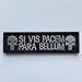 SpaceAuto Punisher SI VIS PACEM PARA BELLUM Tactical Morale Patch 3.74