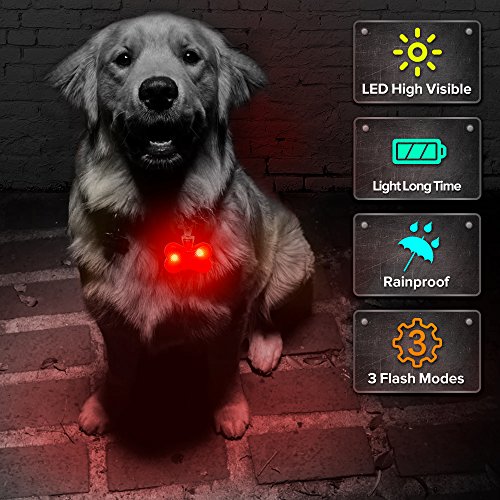 Higo Dog Collar Light, Safety LED Dog Tag for Night Walking, Glow Up Dog Lights for Collar Makes Your Small Medium Large Dogs& Cats Be Seen& Safe at Night (Red/Bone Shaped) - Thumbnail 6