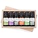 Plant Therapy Breathe Easy Essential Oil Set - Lavender, Eucalyptus, Peppermint, Lemongrass, Orange Sweet, Tea Tree, 100% Pure, Aromatherapy, Therapeutic Grade 10 mL (1/3 oz)