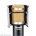 Neewer Arch-shaped Microphone Wind Pop Filter Mask Shield with Elastic Rubber Bands for Mic Studio Acoustic Recording Broadcasting Podcasting, Stainless Steel Mesh and Foam Layer (Silver)