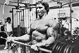 Arnold Schwarzenegge Body Building Nice Silk Fabric Cloth Wall Poster Print (36x24inch)