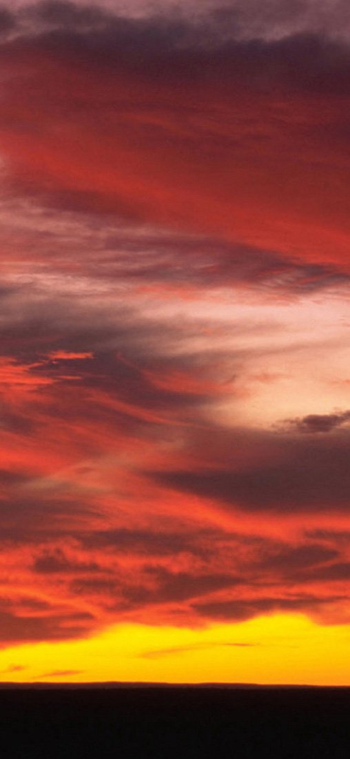 PeelitStickit, Beautiful Nature Wall Murals, ID-1155, vinyl