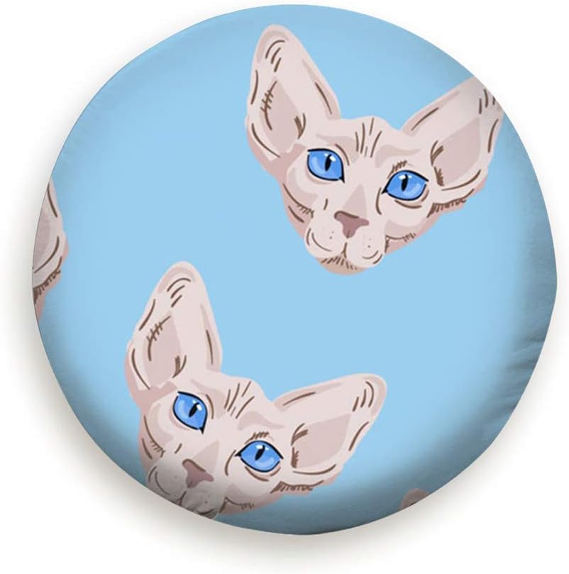 sphynx cat wheel