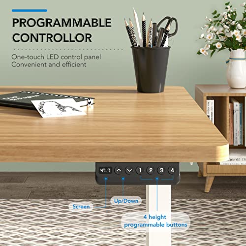 FLEXISPOT Stand Up Desk 3 Stages Dual Motor Electric Standing Desk