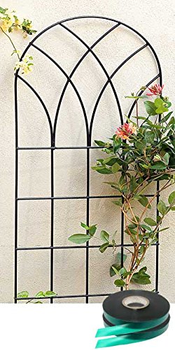 Gardman Gothic Trellis with Stretch Tie Wrap Package