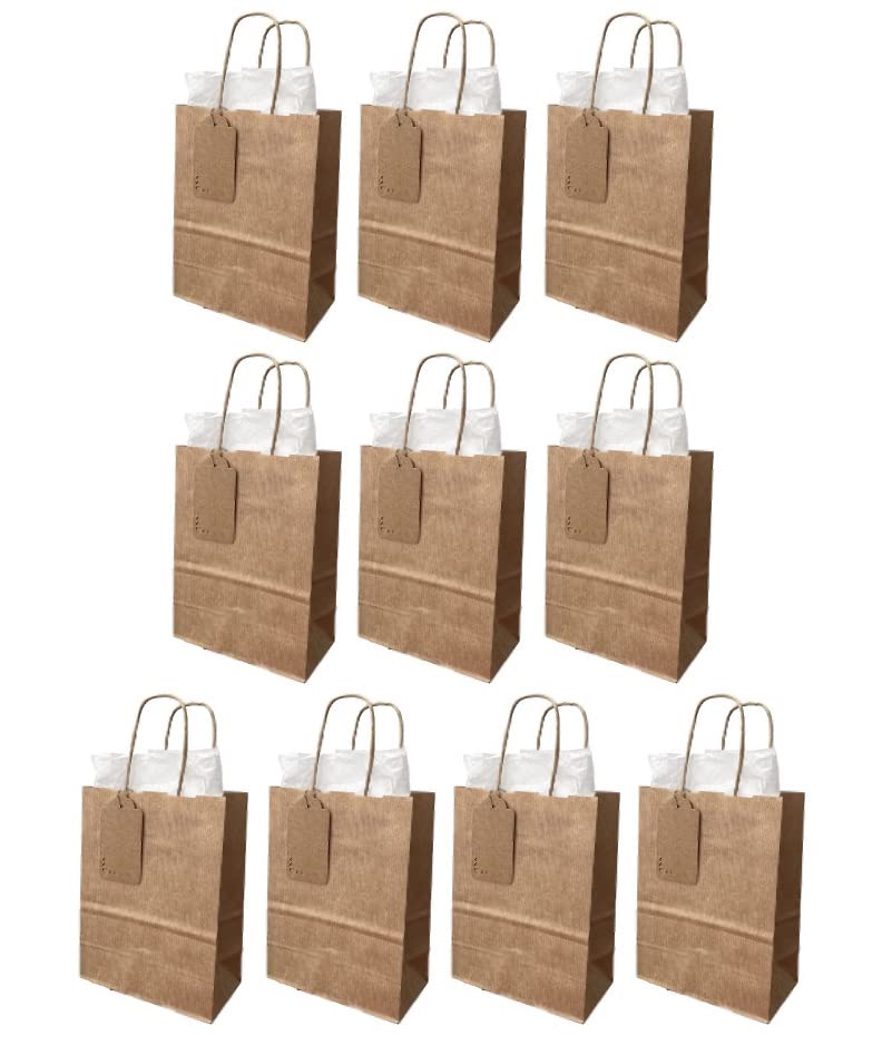 10 Kraft Gift Bags. Extra Small Party Bags. Twisted Handles Gift Bags With White Tissue Paper And Gift Tags