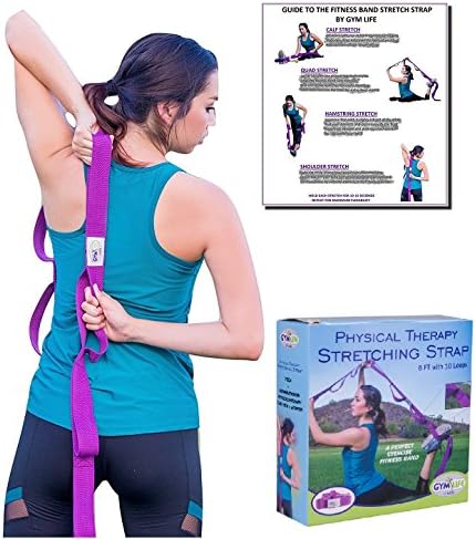 The Professional Fitness Band by Gym Life: A Perfect Exercise Band, Yoga Stretch Strap &amp; Rehabilitation Physical Therapy Tool for Men &amp; Women, 6 Foot Strap with 10 Loops, Non-Elastic (Blue, Large)