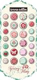 Teresa Collins Designs Spring Fling Brads