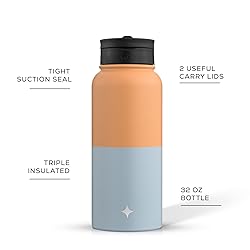 JoyJolt Triple Insulated Water Bottle with Straw
