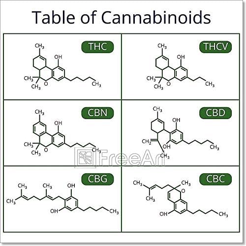 Amazon Com Barewalls Cannabis Skeletal Cbd Formula Marijuana Molecules Vector Set Paper Print Wall Art 42in X 42in Posters Prints
