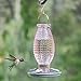 Perky Pet 8131-2 Cranberry Hobnail Vintage Glass Hummingbird Feeder