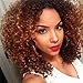 Mersi Brown Wigs for Black Women Short Curly Wigs Brown Ombre Hair Afro Kinky Wig Synthetic Hair Wigs with Wig Cap S007