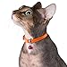 CollarDirect Leather Cat Collar, Cat Safety Collar with Elastic Strap, Kitten Collar with Bell Black Blue Red Orange Lime Green (8-11 Inch, Yellow)