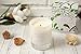 LA JOLIE MUSE Soy Candles 8 OZ Scented Glass Jar Candle Night Jasmine, 45 Hours BURN, Valentine's Gifts for Her