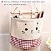 Small Wall Hanging Organizer, Over The Door Hanging Storage Bag Wall Mounted Storage Pockets for Little Tiny Things Cute Cat Deco for Kids Room and Office