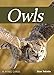 Owls Playing Cards (Nature's Wild Cards) by 
