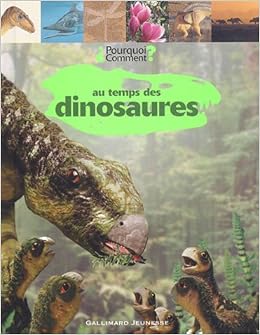 Au Temps Des Dinosaures Voir Erpi Amazonca Collectif Books - 