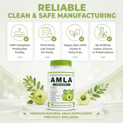 Organic Amla Capsules – Indian Gooseberry Fruit Powder for Daily Vitality, Ayurvedic Wellness Formula, 90 Capsules