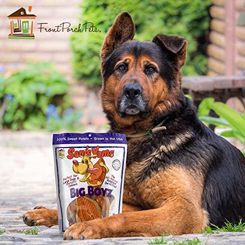 Sams Yams Sweet Potato Dog Treats, Healthy Dog Treats for Large Dogs