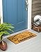 Team Sports America Philadelphia Eagles Super Bowl LII Champions Natural Coir Outdoor Safe Door Mat, 16 x 28 inches