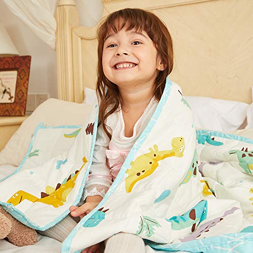Hiseeme Weighted Blanket for Kids lbs 36